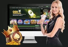 nat666 Roulette ဂိမ်းဝိုင်းပုံ